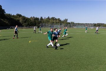Bild 244 - wBJ FSG Kaltenkirchen - MSG Siebenbaeumen-Krummesse : Ergebnis: 2:5